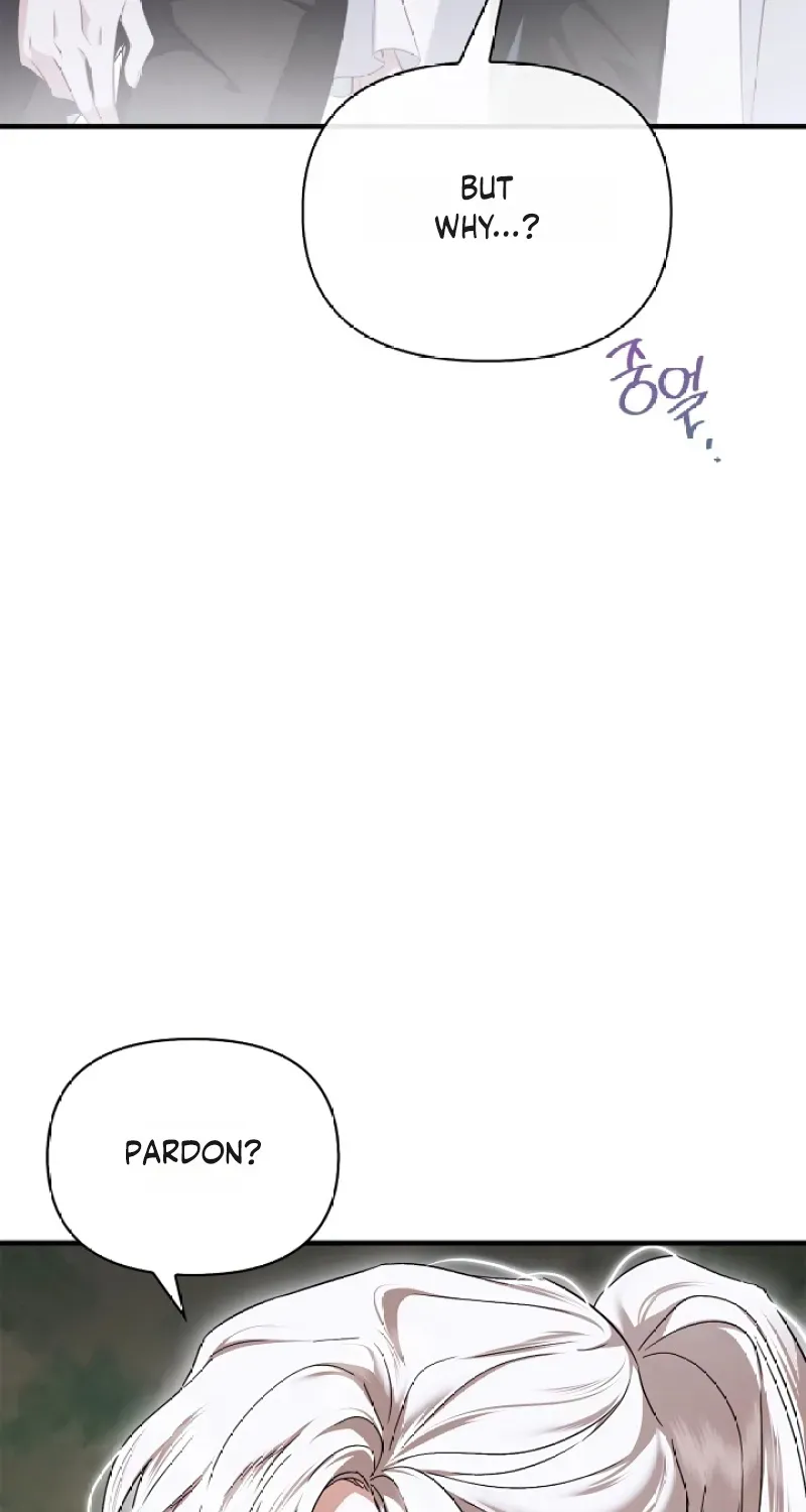 My Husband Was Definitely a Paladin Chapter 10 page 47 - 