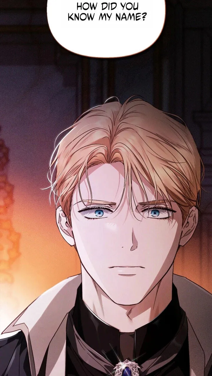 My Husband Was Definitely a Paladin Chapter 7 page 4 - 