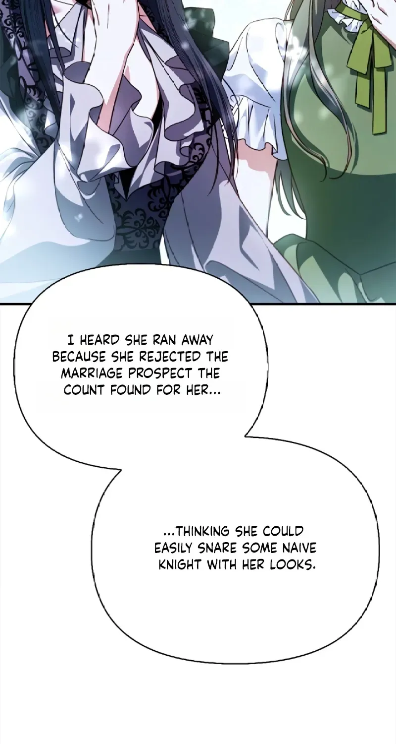 My Husband Was Definitely a Paladin Chapter 8 page 71 - 