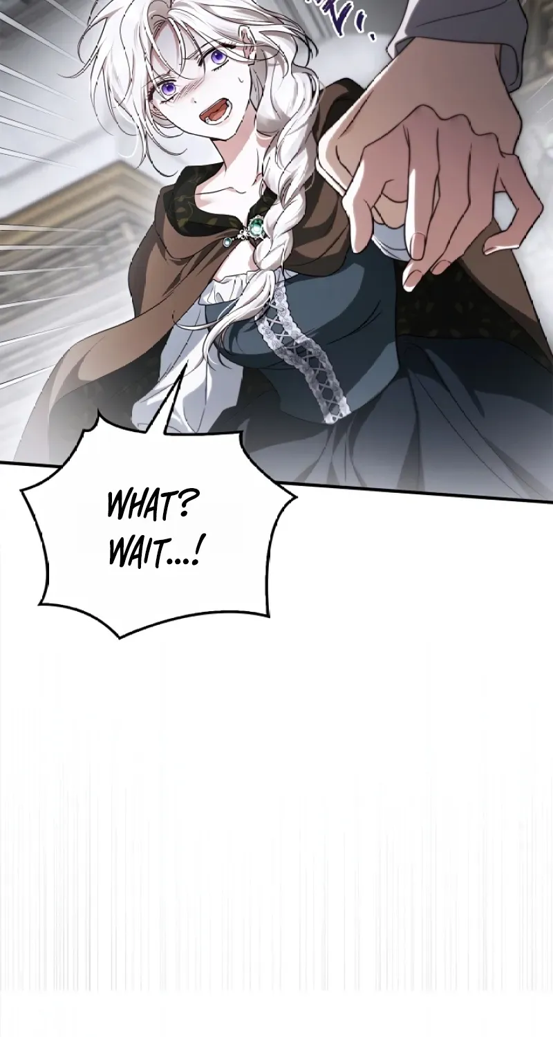My Husband Was Definitely a Paladin Chapter 9 page 29 - 