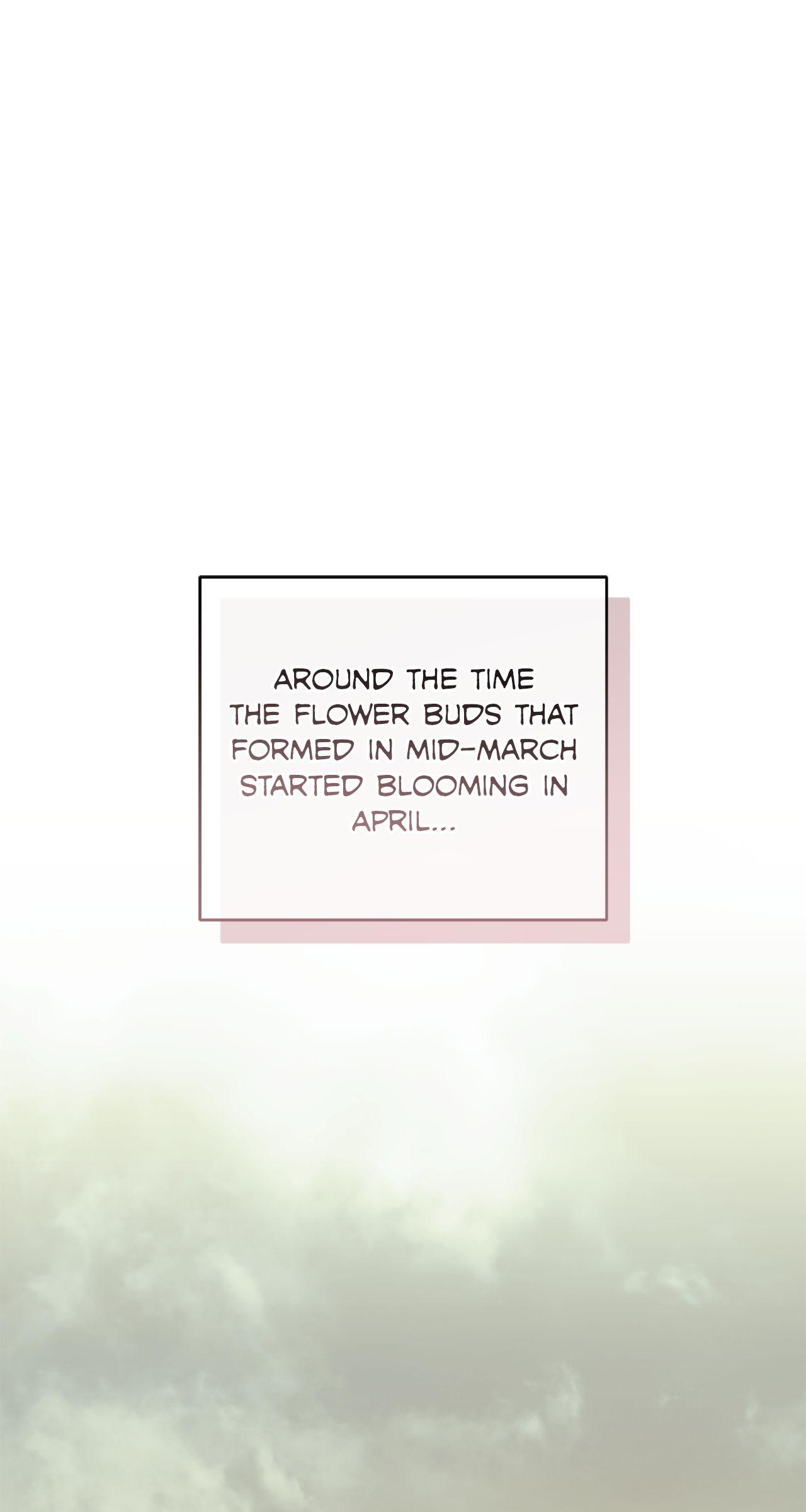 My Husband Who Hates Me Has Lost His Memories Chapter 100 page 2 - 