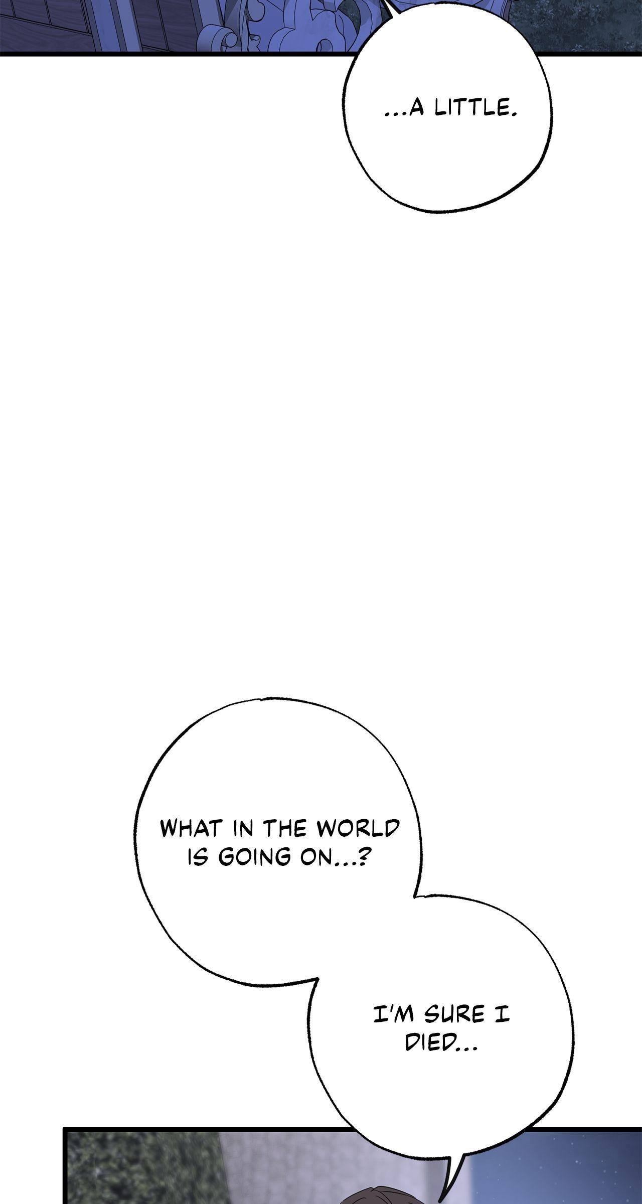 My Husband Who Hates Me Has Lost His Memories Chapter 101 page 16 - 