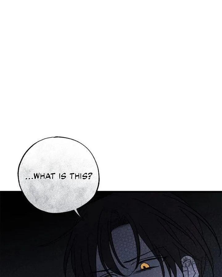My Husband Who Hates Me Has Lost His Memories Chapter 83 page 74 - 