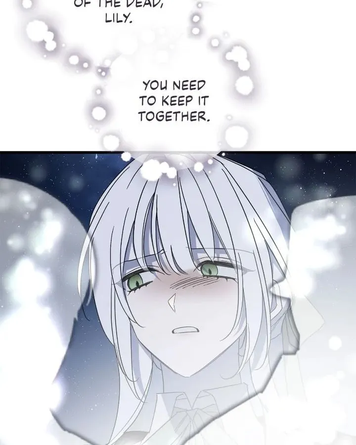 My Husband Who Hates Me Has Lost His Memories Chapter 85 page 26 - 