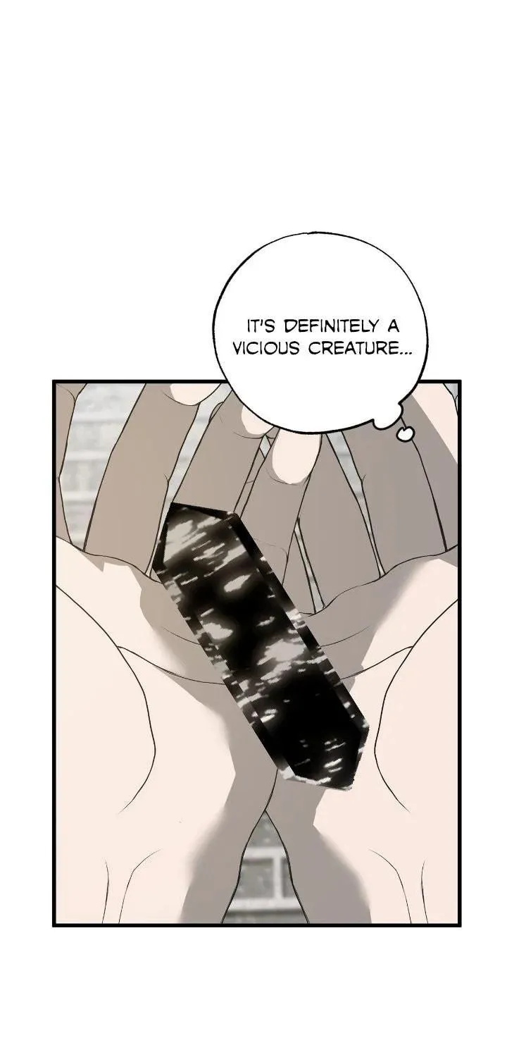 My Husband Who Hates Me Has Lost His Memories Chapter 85 page 85 - 