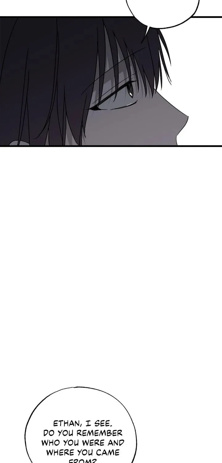 My Husband Who Hates Me Has Lost His Memories Chapter 86 page 67 - 