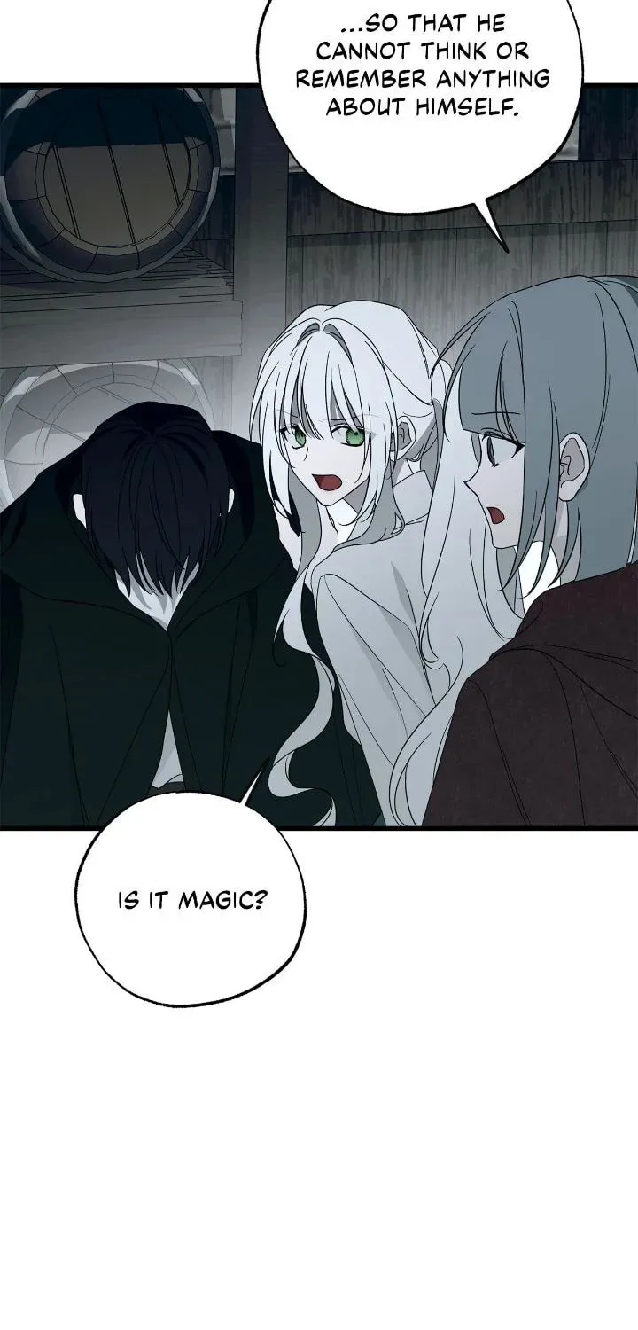 My Husband Who Hates Me Has Lost His Memories Chapter 86 page 72 - 