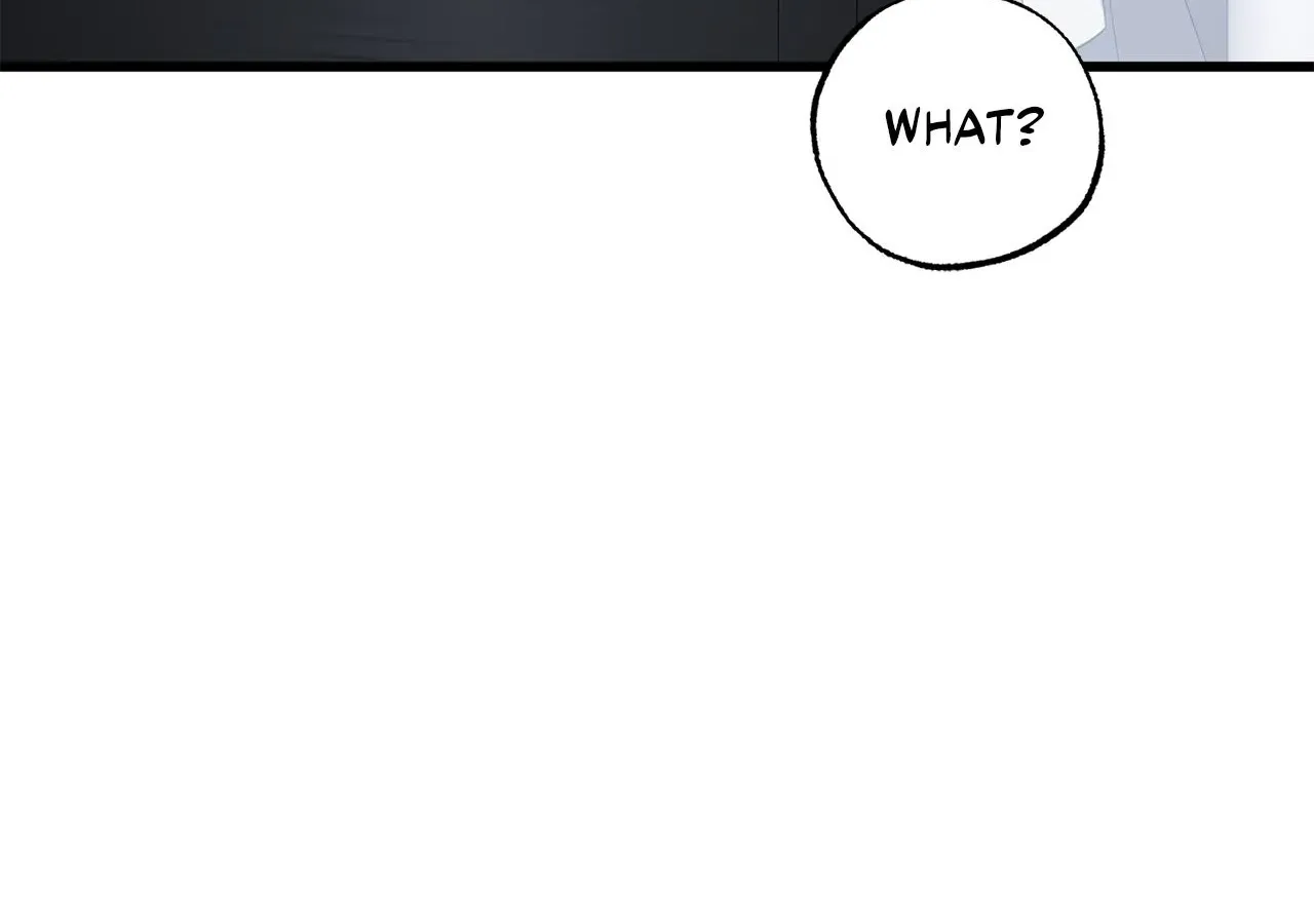 My Husband Who Hates Me Has Lost His Memories Chapter 92 page 172 - 