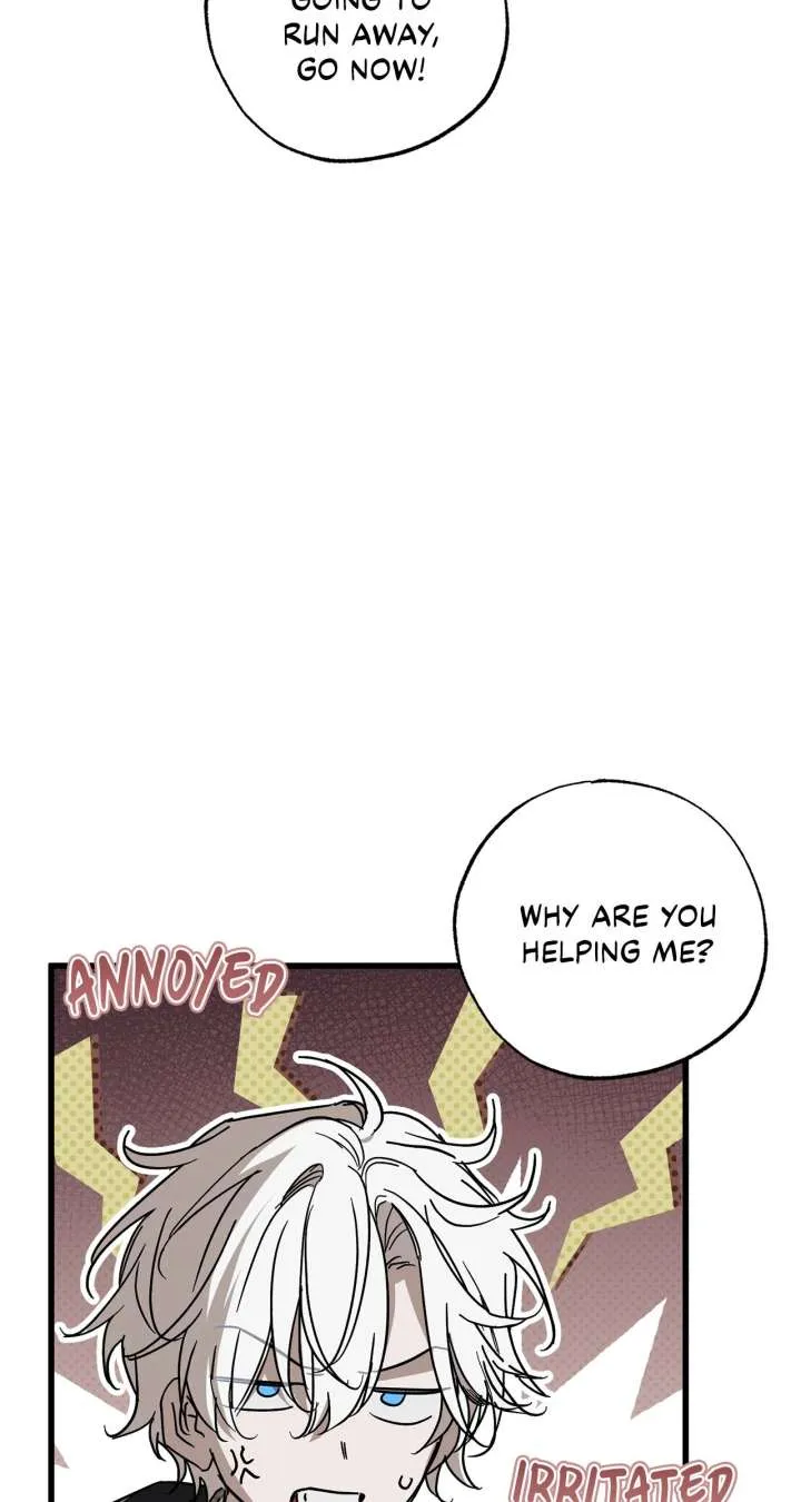 My Husband Who Hates Me Has Lost His Memories Chapter 93 page 95 - 