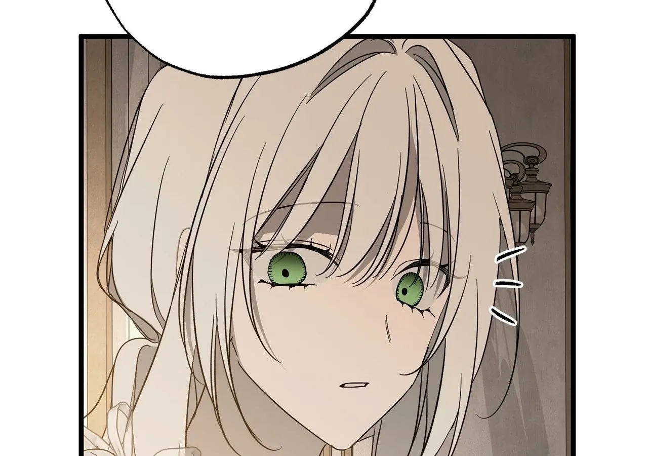 My Husband Who Hates Me Has Lost His Memories Chapter 96 page 145 - 