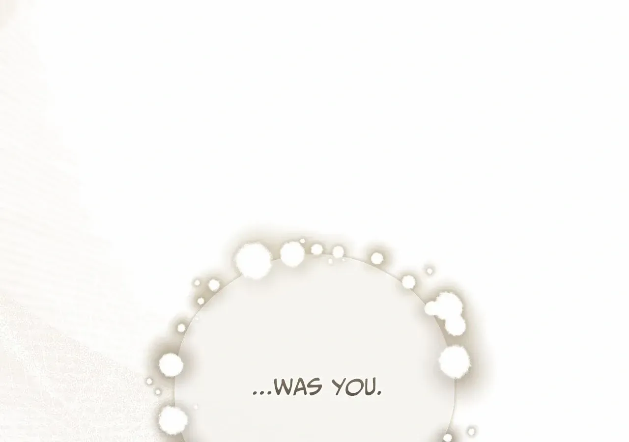 My Husband Who Hates Me Has Lost His Memories Chapter 96 page 199 - 