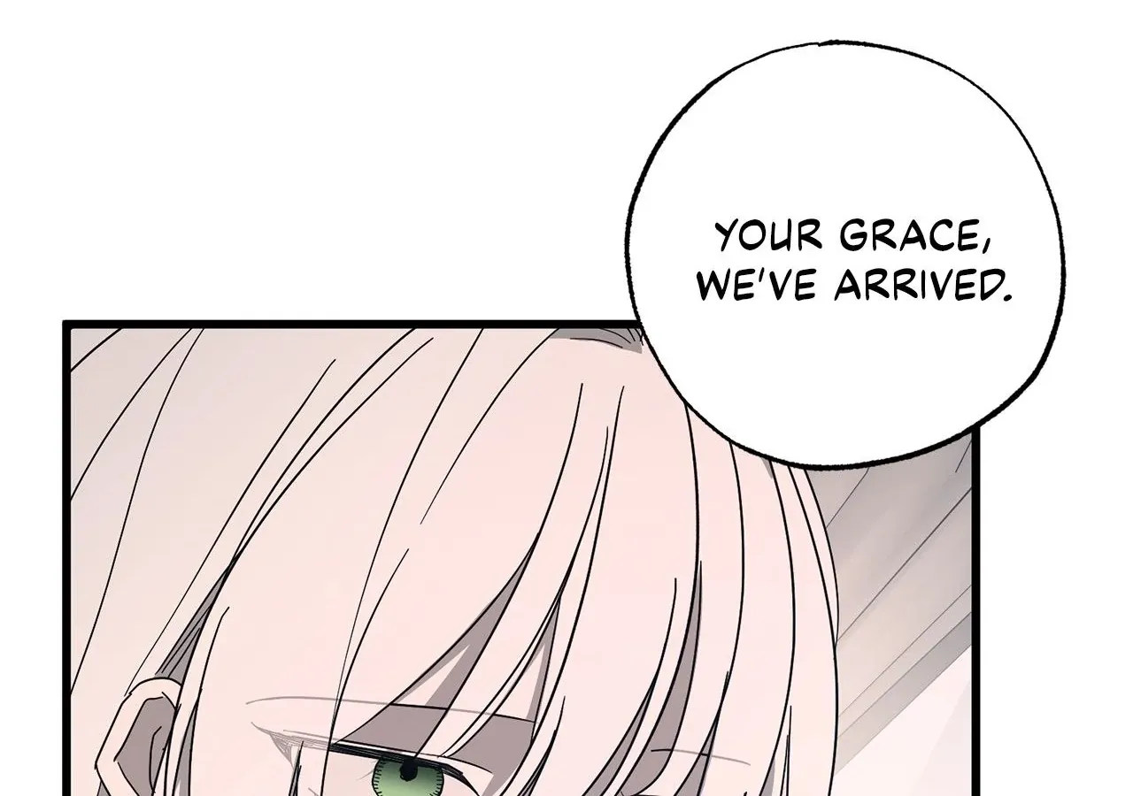 My Husband Who Hates Me Has Lost His Memories Chapter 97 page 5 - 