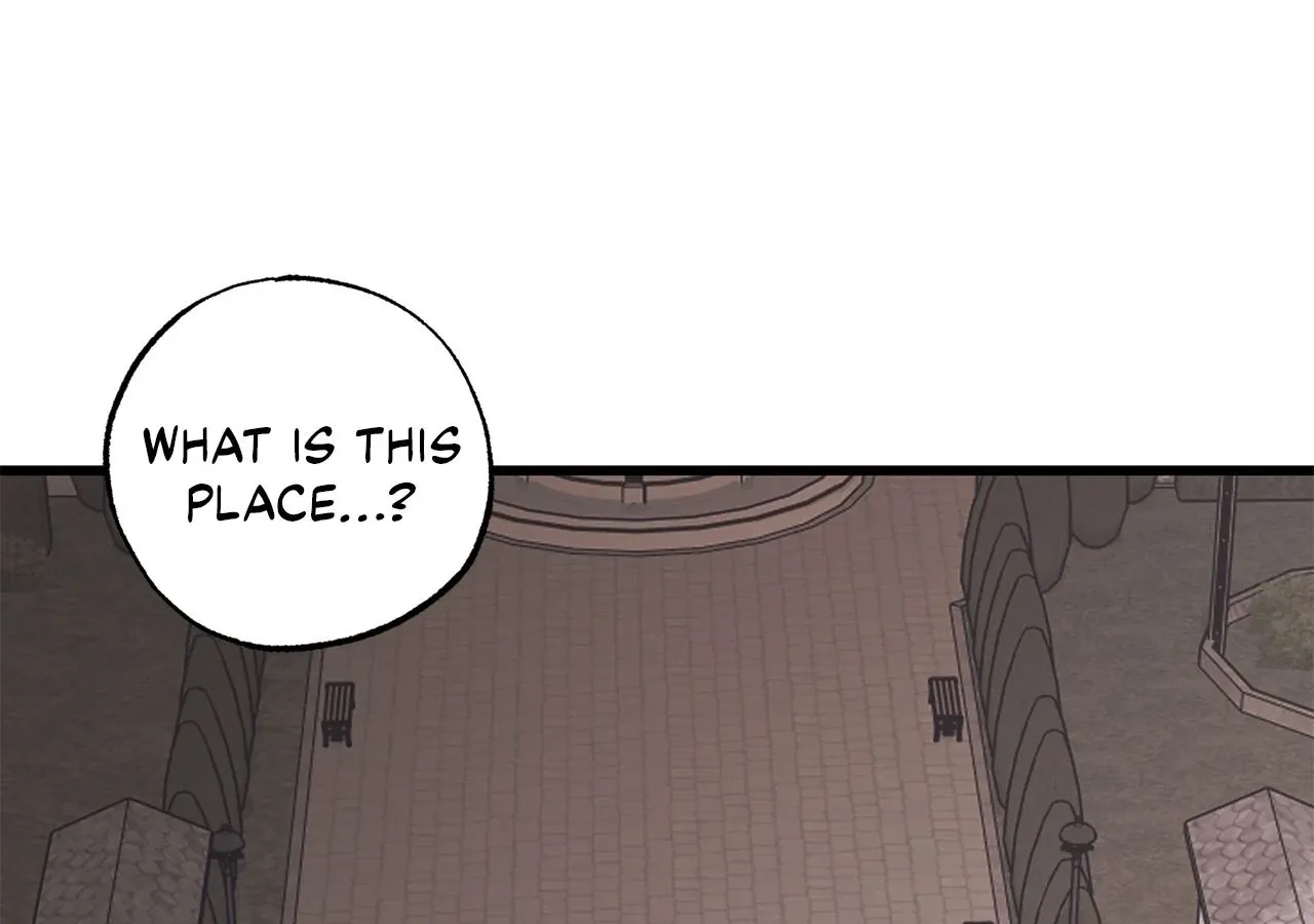 My Husband Who Hates Me Has Lost His Memories Chapter 97 page 7 - 