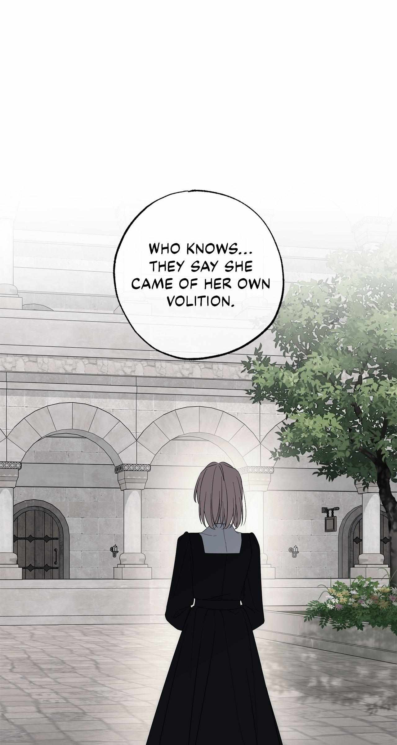 My Husband Who Hates Me Has Lost His Memories Chapter 99 page 5 - 
