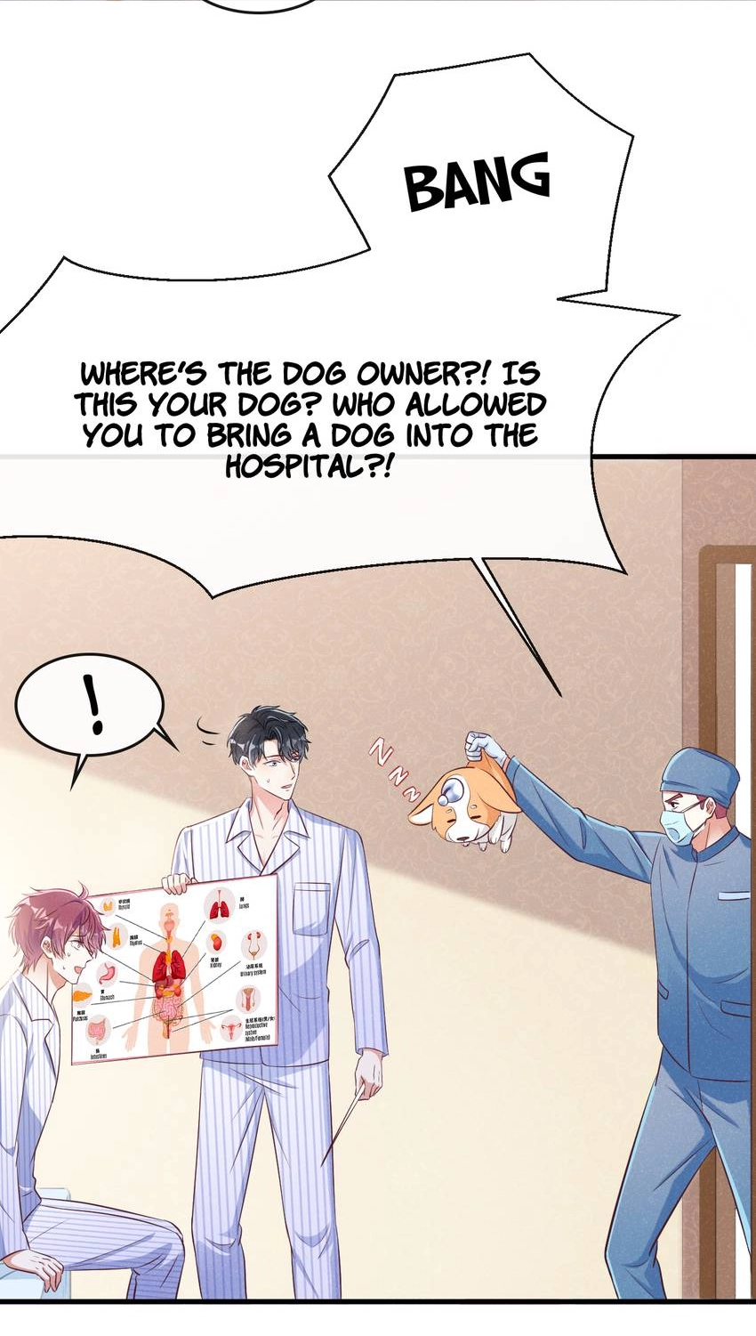 My Ideal Type and I Are Dying! Chapter 49 page 33 - 