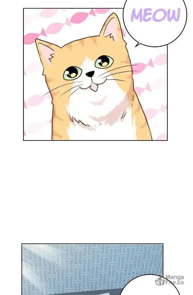 Read My K chapter 13 image 54 on Lezhin