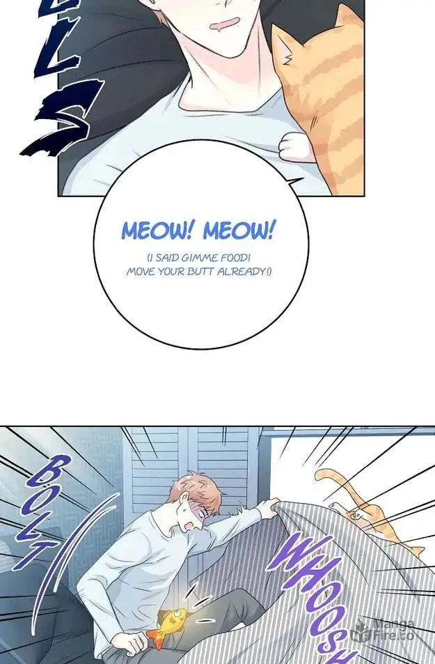 Read My K chapter 13 image 56 on Lezhin