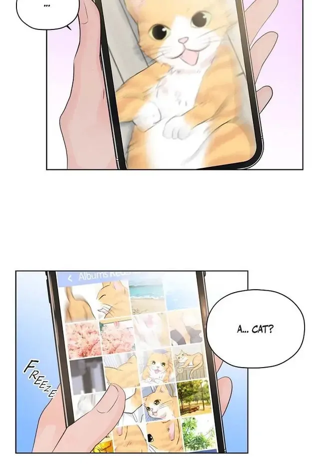 Read My K chapter 3 image 16 on Lezhin
