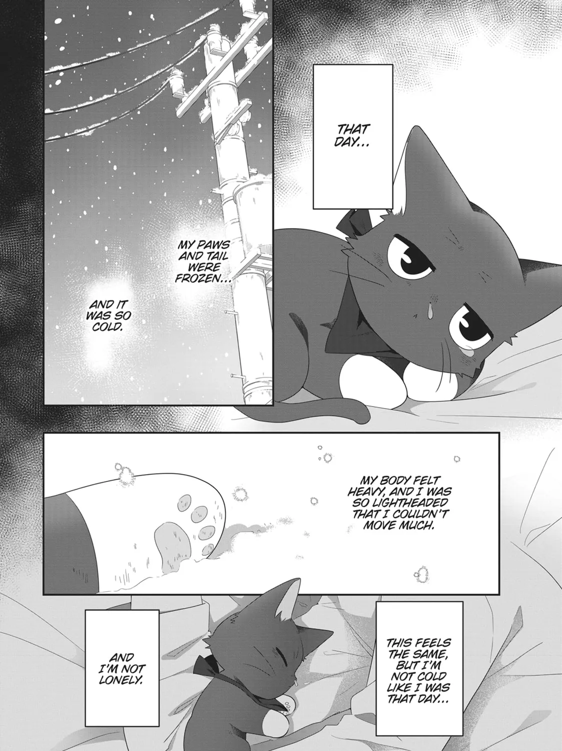 Read My Kitten is a Picky Eater chapter 12 image 26 on Lezhin