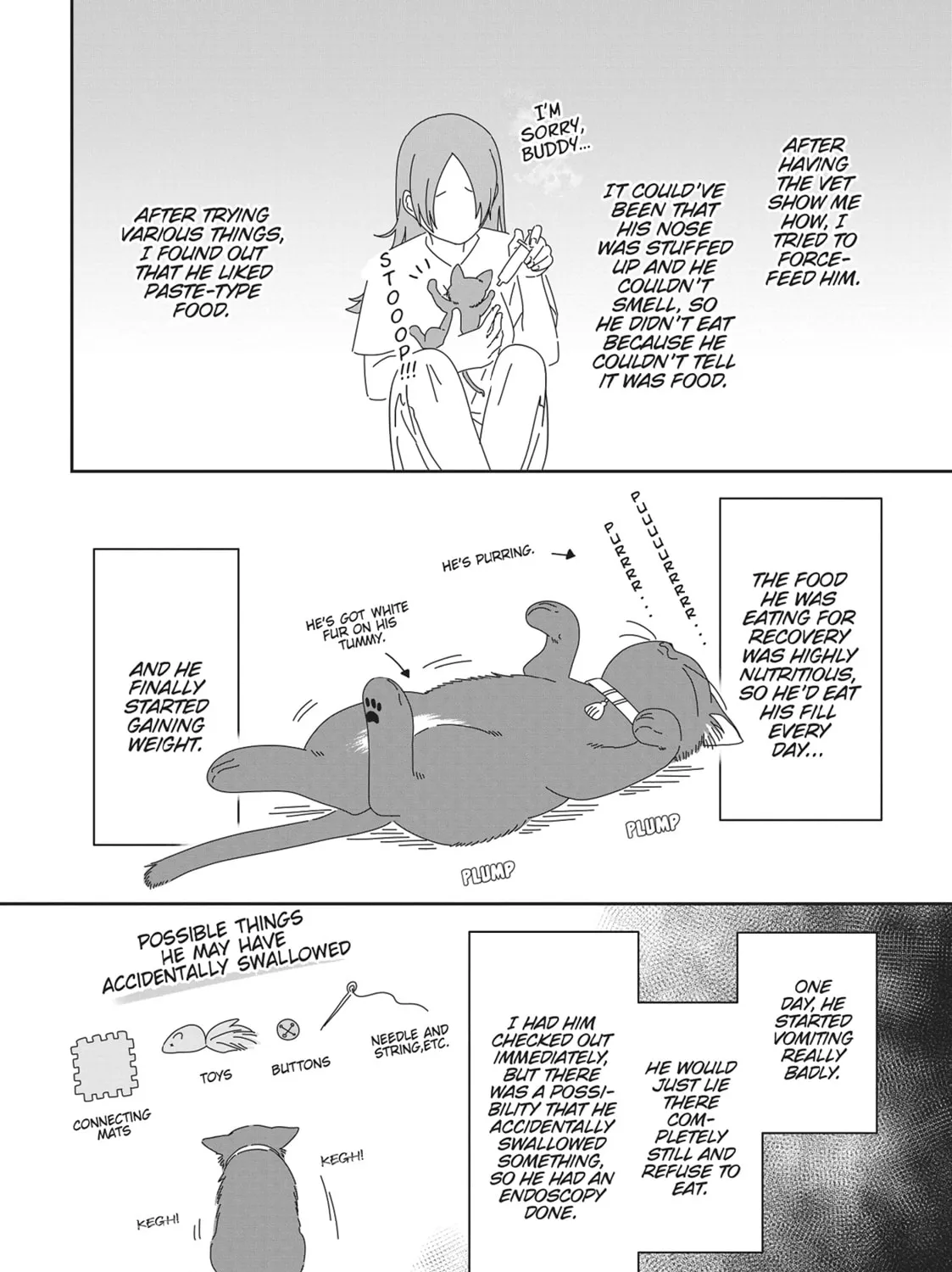 Read My Kitten is a Picky Eater chapter 22.5 image 2 on Lezhin