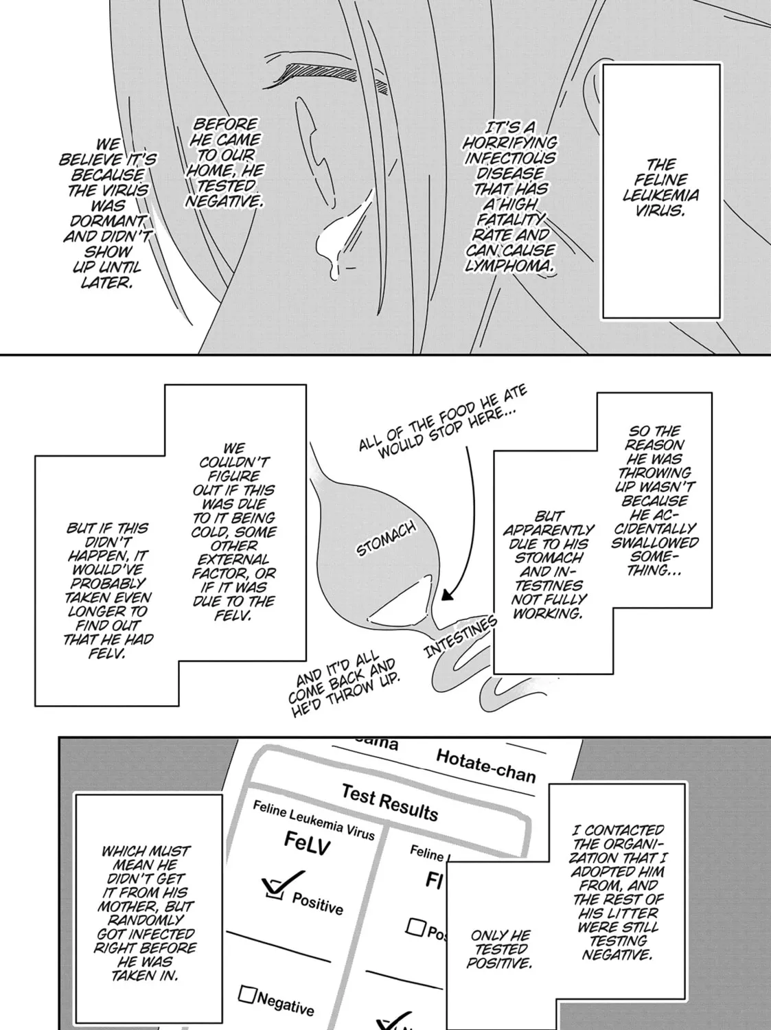 Read My Kitten is a Picky Eater chapter 22.5 image 6 on Lezhin