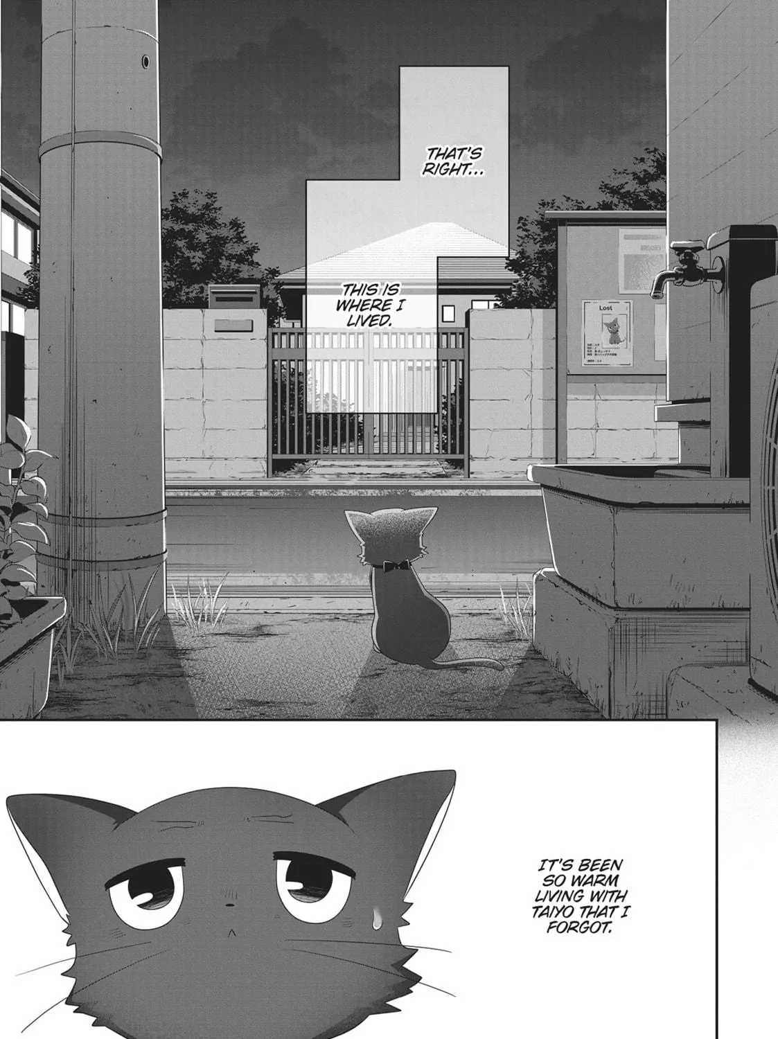 Read My Kitten is a Picky Eater chapter 22 image 4 on Lezhin