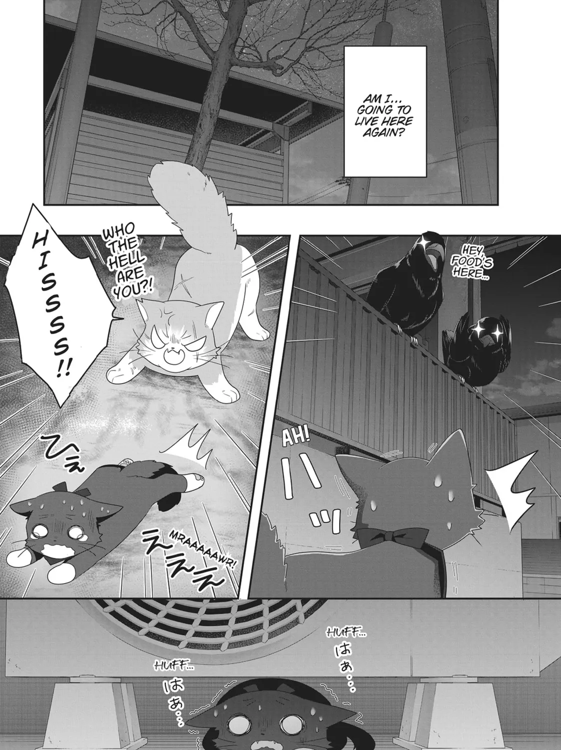 Read My Kitten is a Picky Eater chapter 22 image 6 on Lezhin