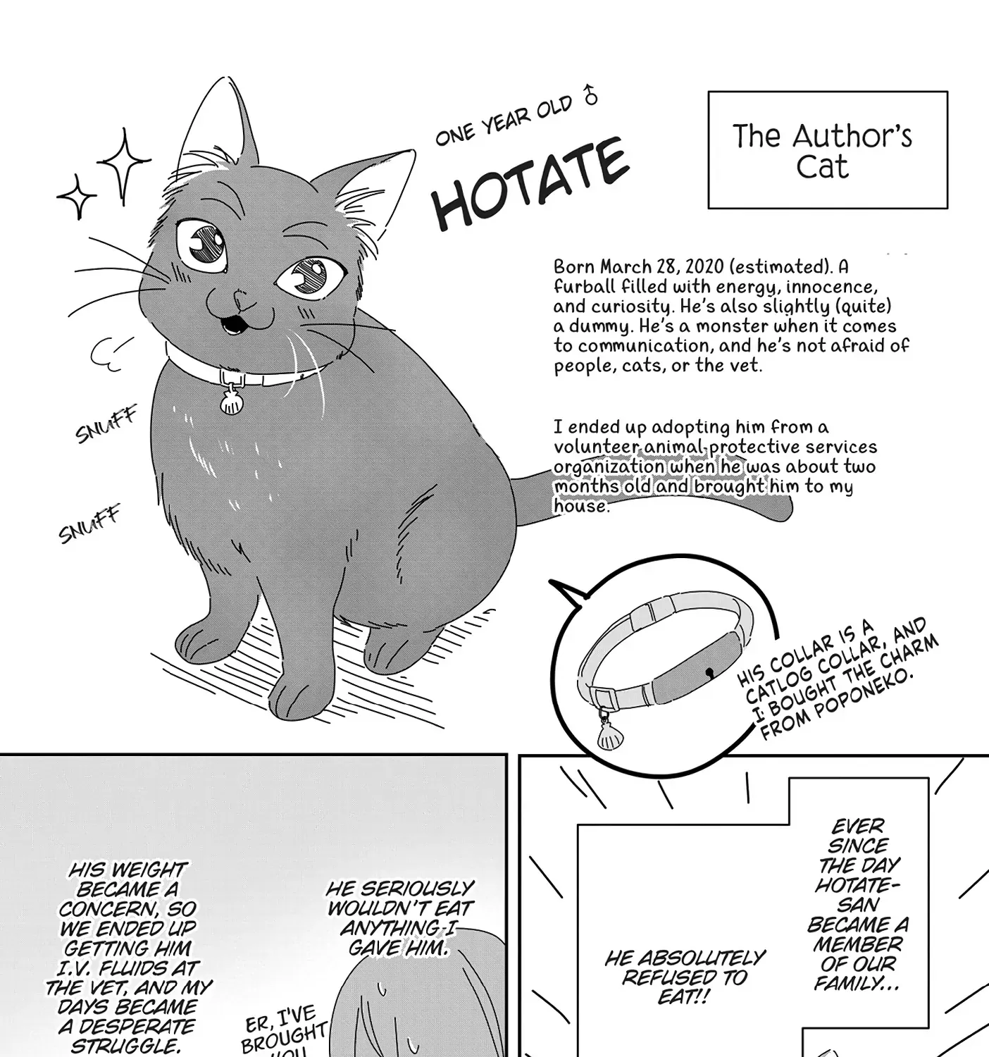 Read My Kitten is a Picky Eater chapter 23.5 image 1 on Lezhin