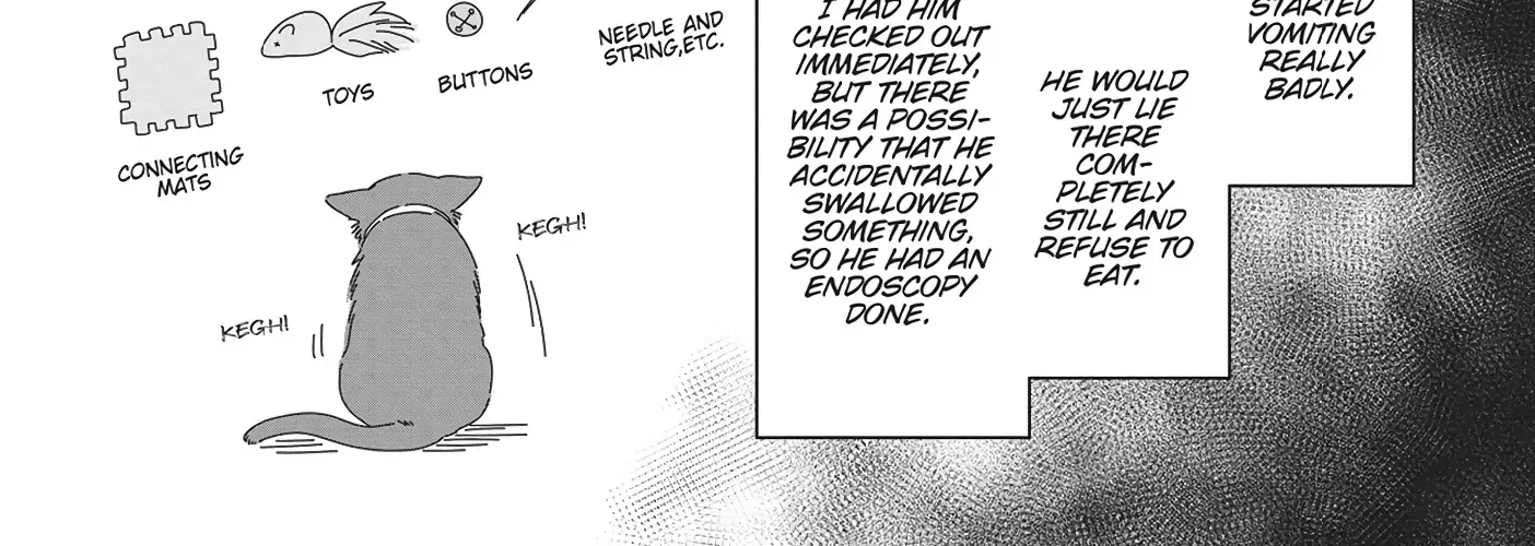 Read My Kitten is a Picky Eater chapter 23.5 image 4 on Lezhin