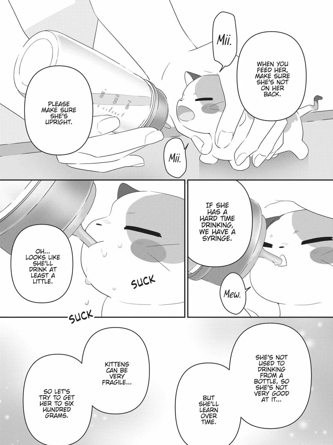 Read My Kitten is a Picky Eater chapter 35 image 22 on Lezhin