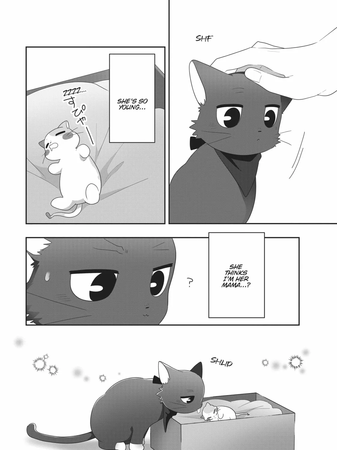 Read My Kitten is a Picky Eater chapter 38 image 26 on Lezhin