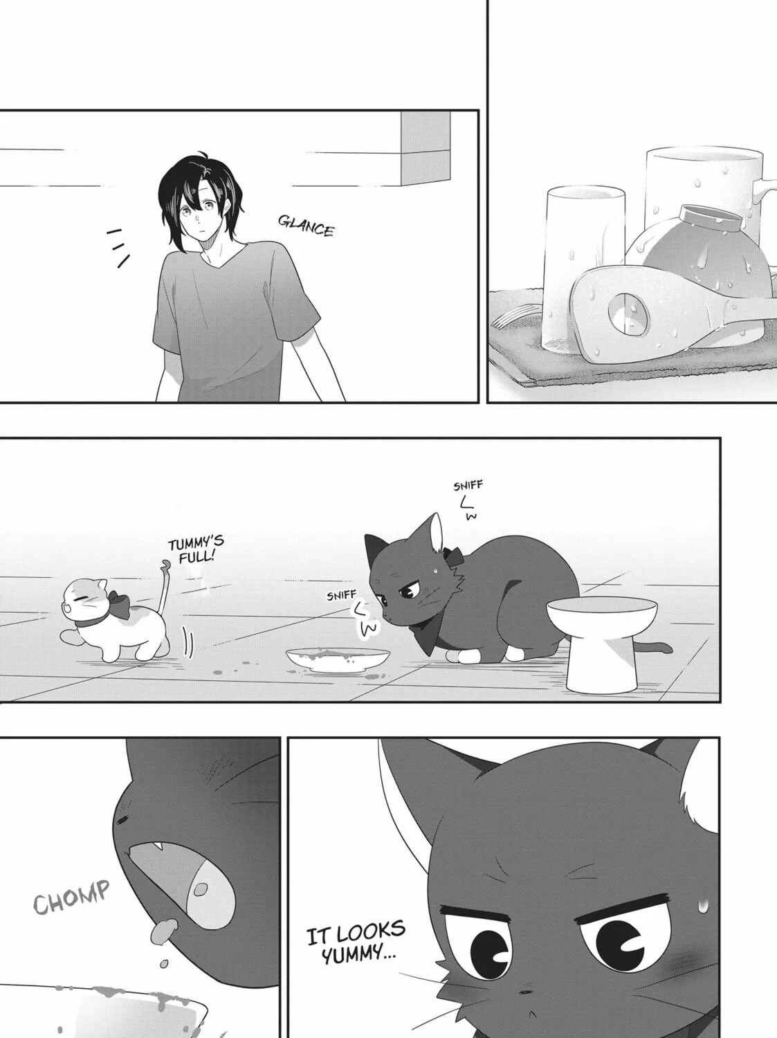 Read My Kitten is a Picky Eater chapter 39 image 12 on Lezhin
