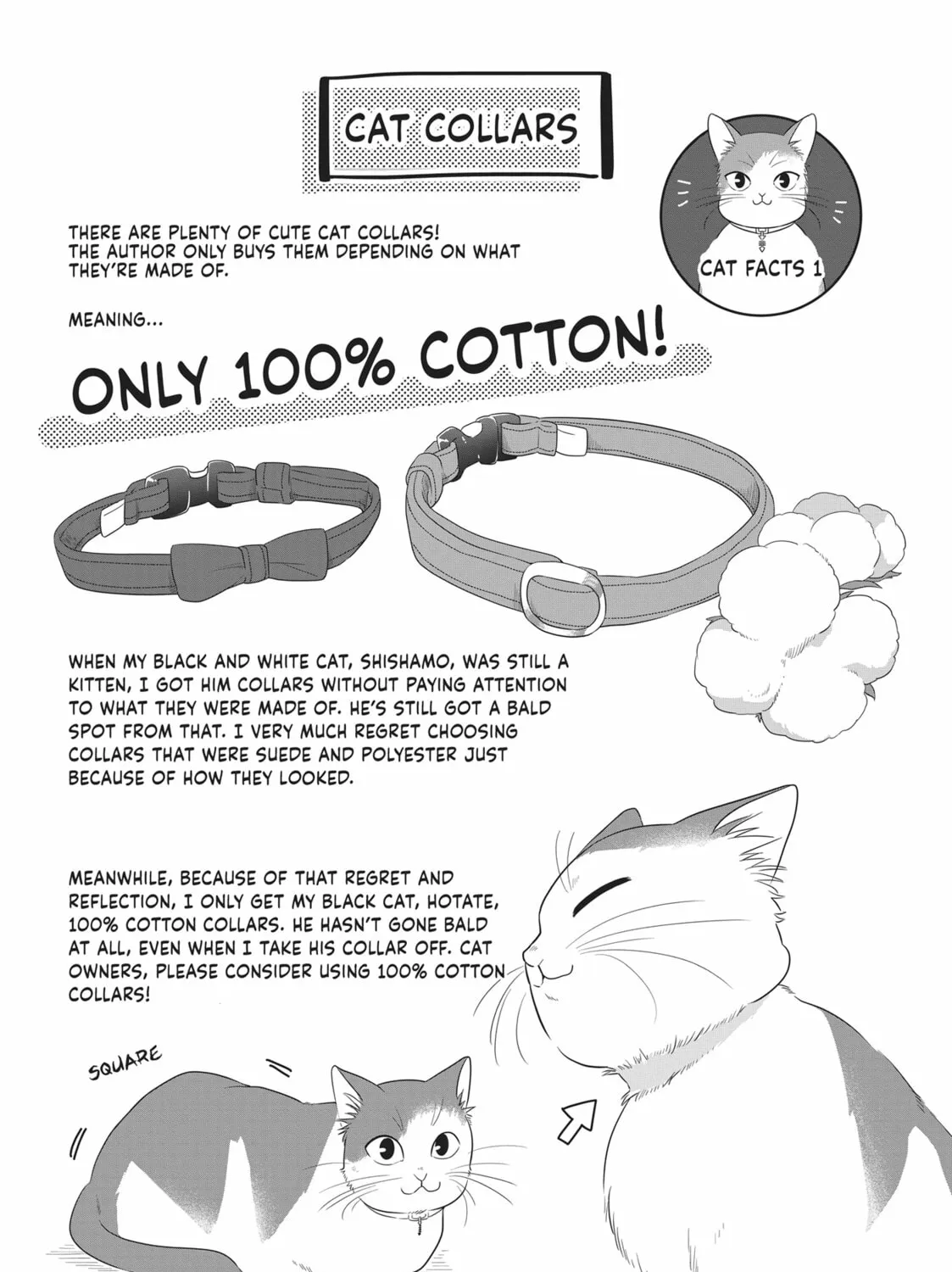 Read My Kitten is a Picky Eater chapter 46.5 image 14 on Lezhin