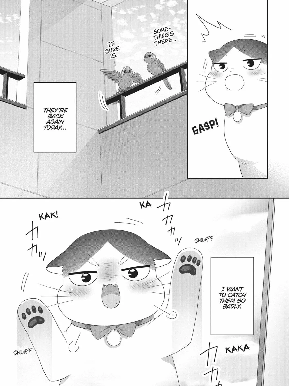 Read My Kitten is a Picky Eater chapter 46 image 8 on Lezhin