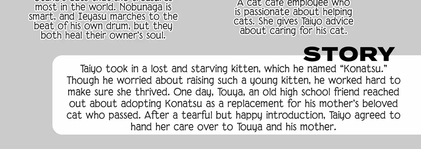 Read My Kitten is a Picky Eater chapter 48 image 6 on Lezhin