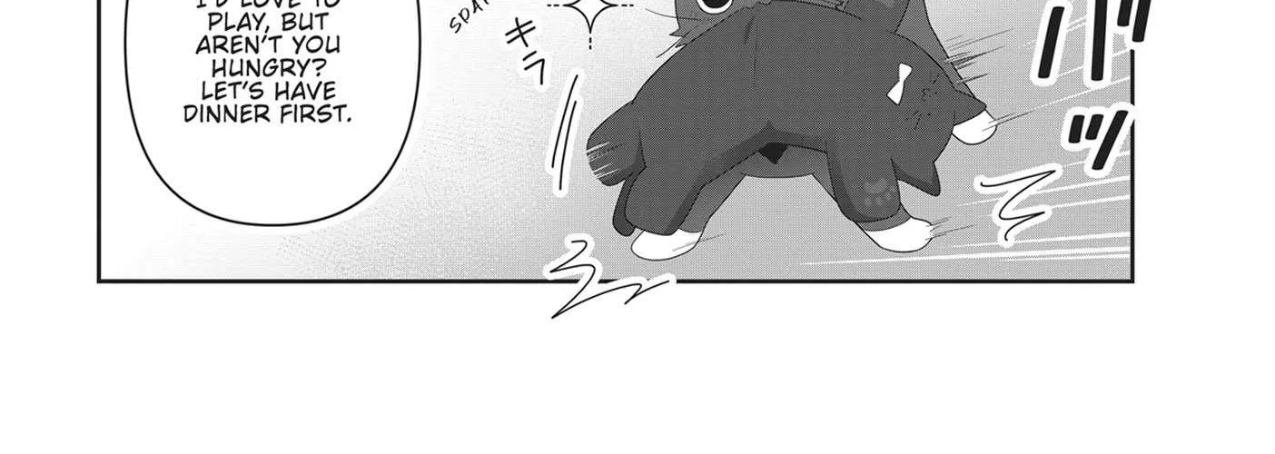 Read My Kitten is a Picky Eater chapter 51 image 12 on Lezhin