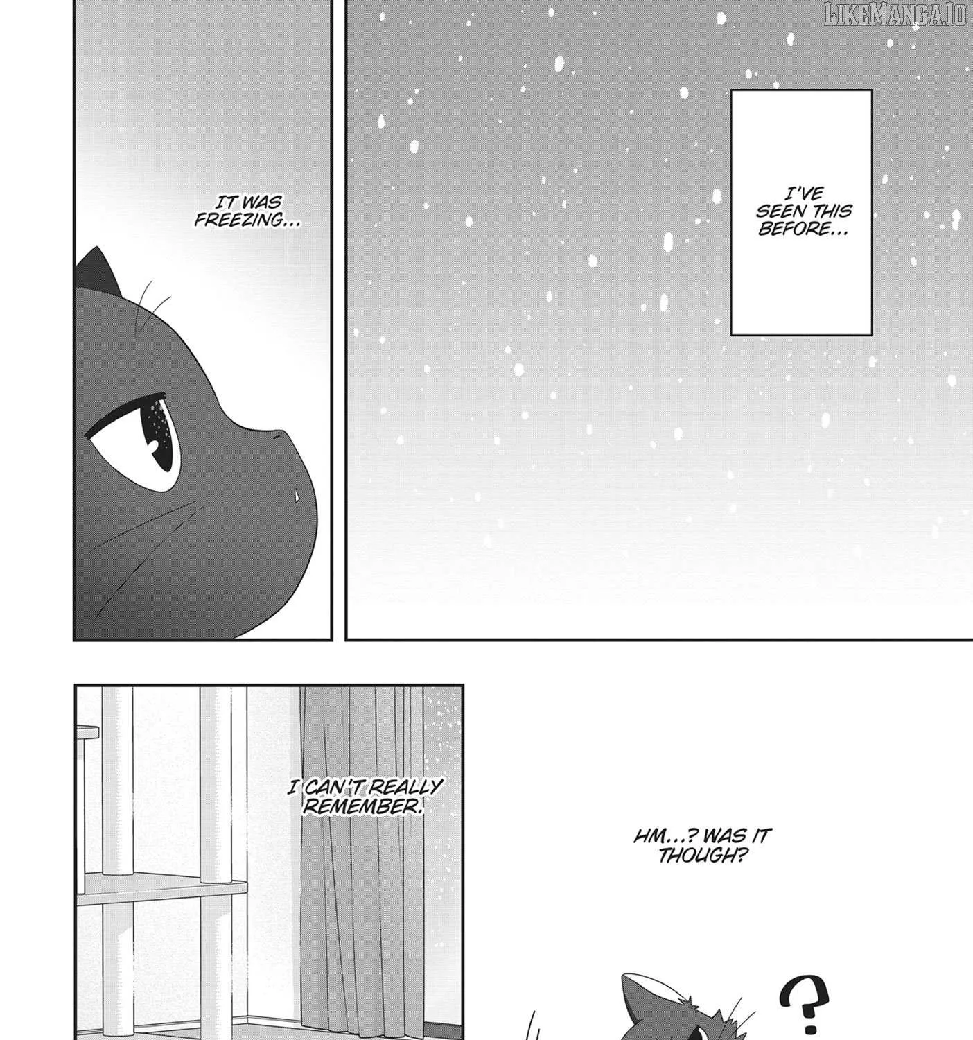Read My Kitten is a Picky Eater chapter 51 image 3 on Lezhin