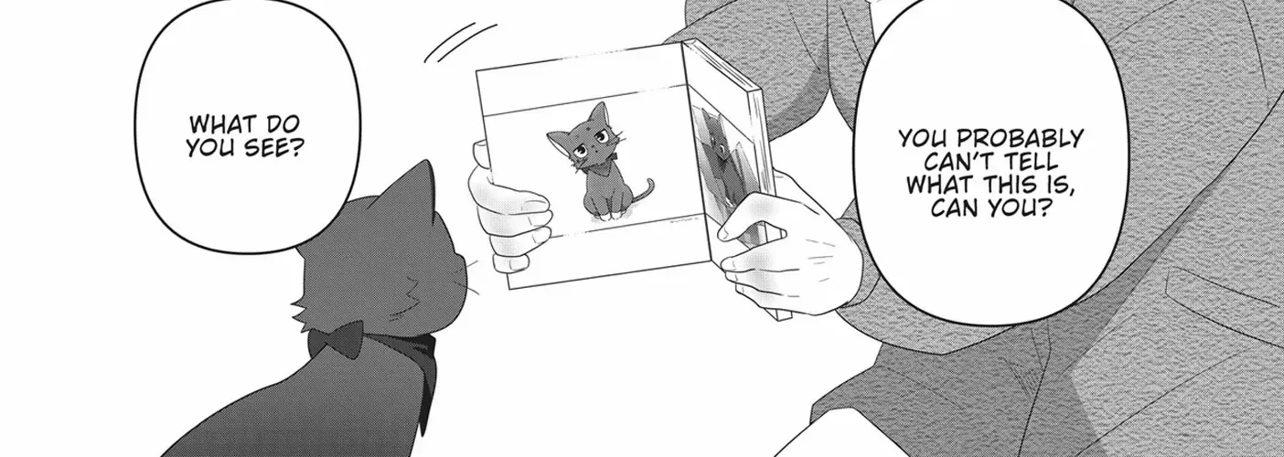 Read My Kitten is a Picky Eater chapter 51 image 8 on Lezhin