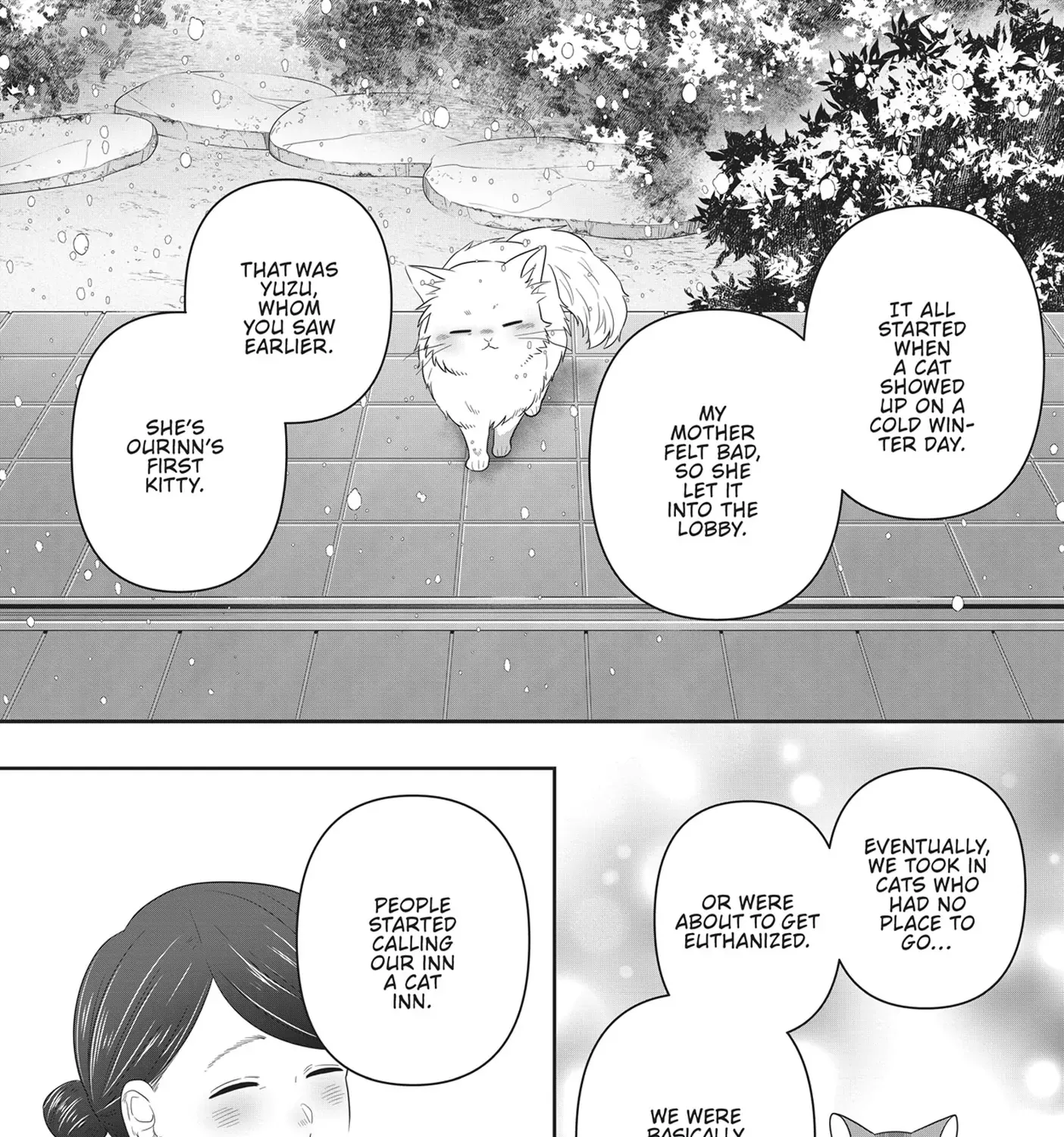 Read My Kitten is a Picky Eater chapter 53 image 12 on Lezhin