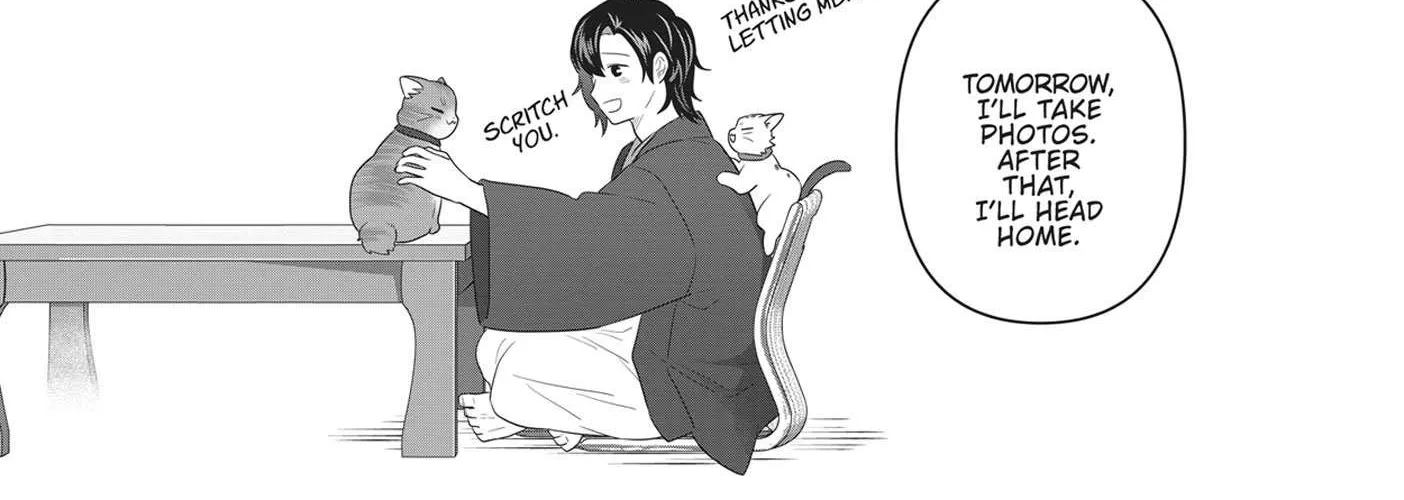 Read My Kitten is a Picky Eater chapter 53 image 25 on Lezhin