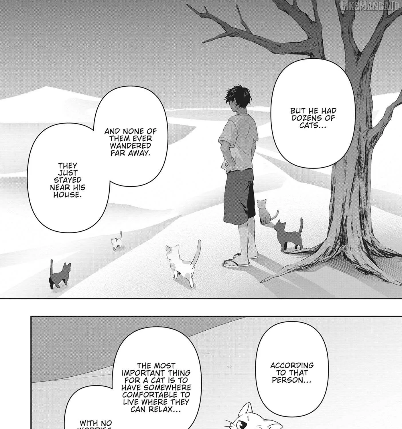 Read My Kitten is a Picky Eater chapter 57 image 7 on Lezhin