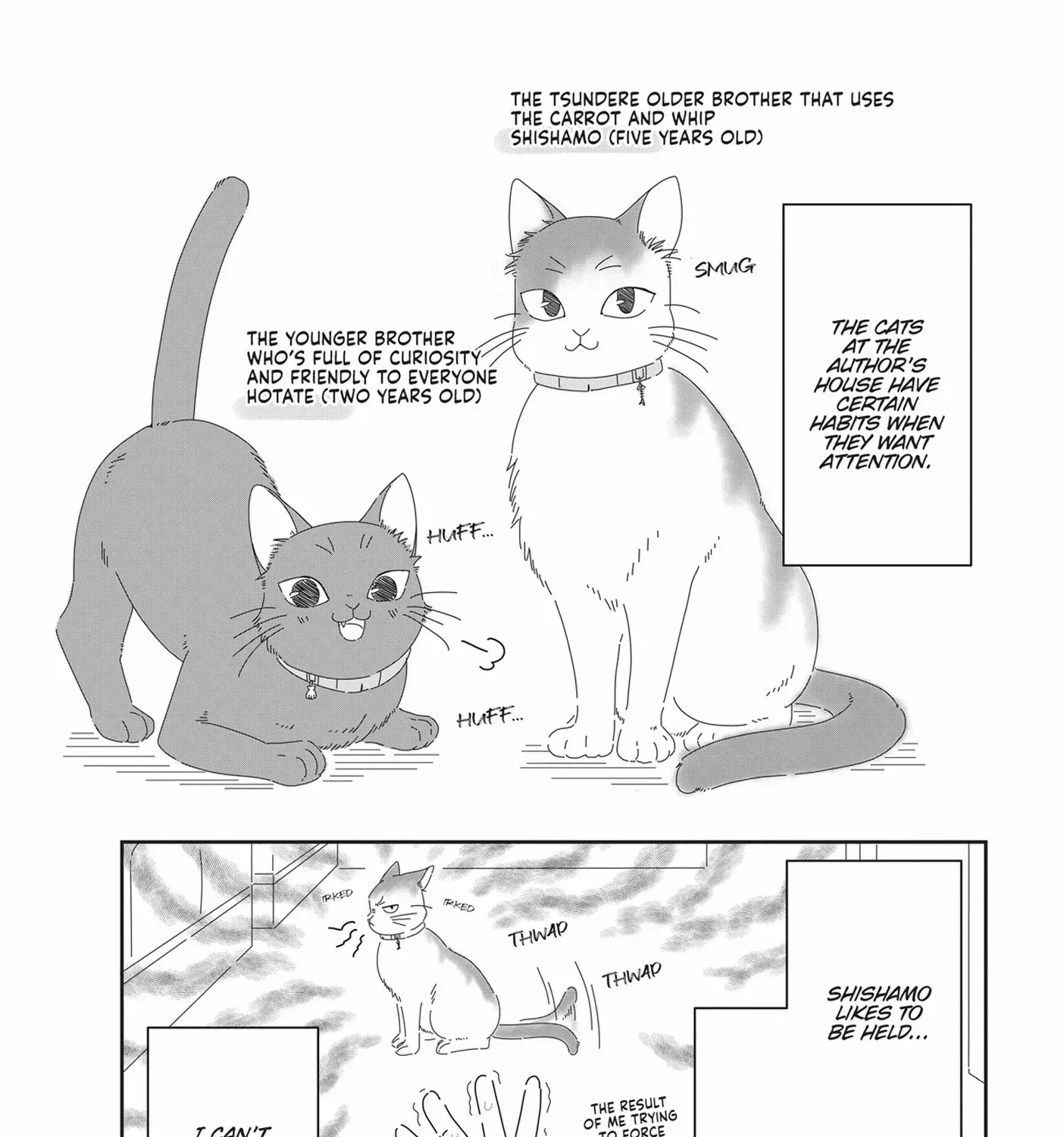 Read My Kitten is a Picky Eater chapter 58.5 image 1 on Lezhin