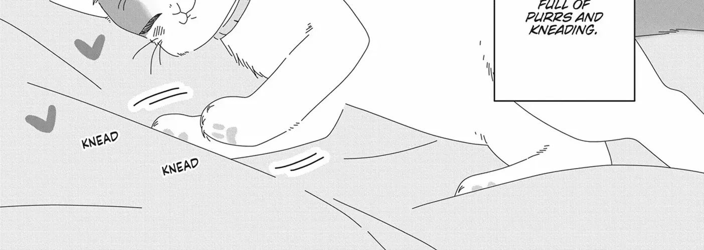 Read My Kitten is a Picky Eater chapter 58.5 image 4 on Lezhin
