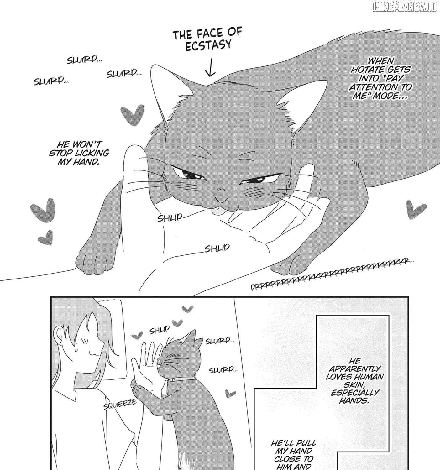 Read My Kitten is a Picky Eater chapter 58.5 image 5 on Lezhin