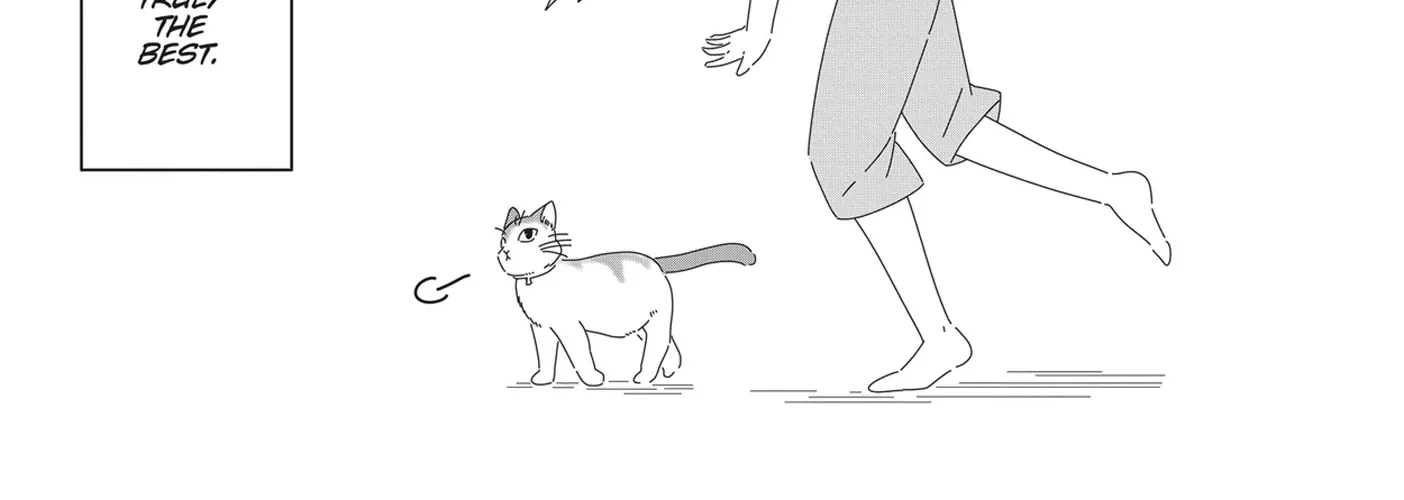 Read My Kitten is a Picky Eater chapter 58.5 image 8 on Lezhin