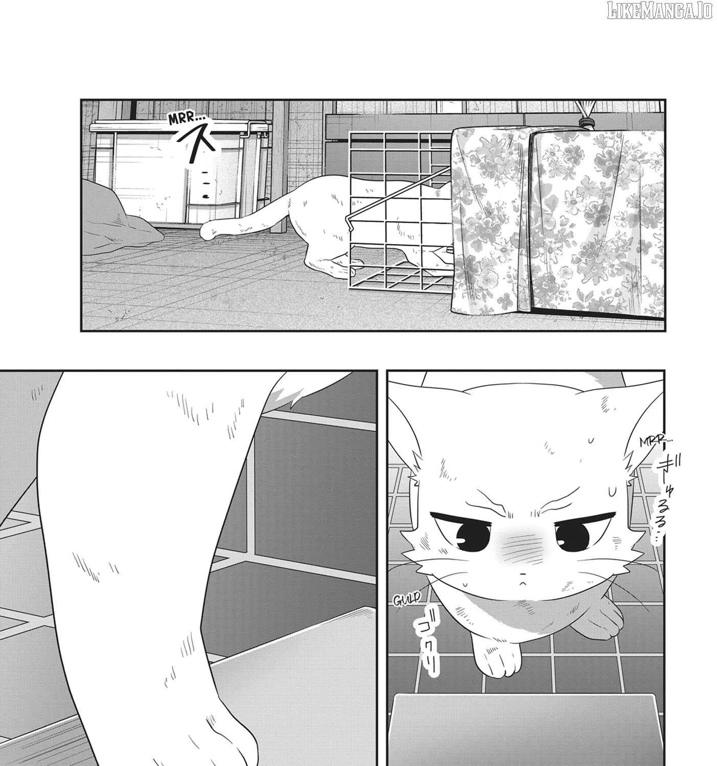 Read My Kitten is a Picky Eater chapter 58 image 9 on Lezhin
