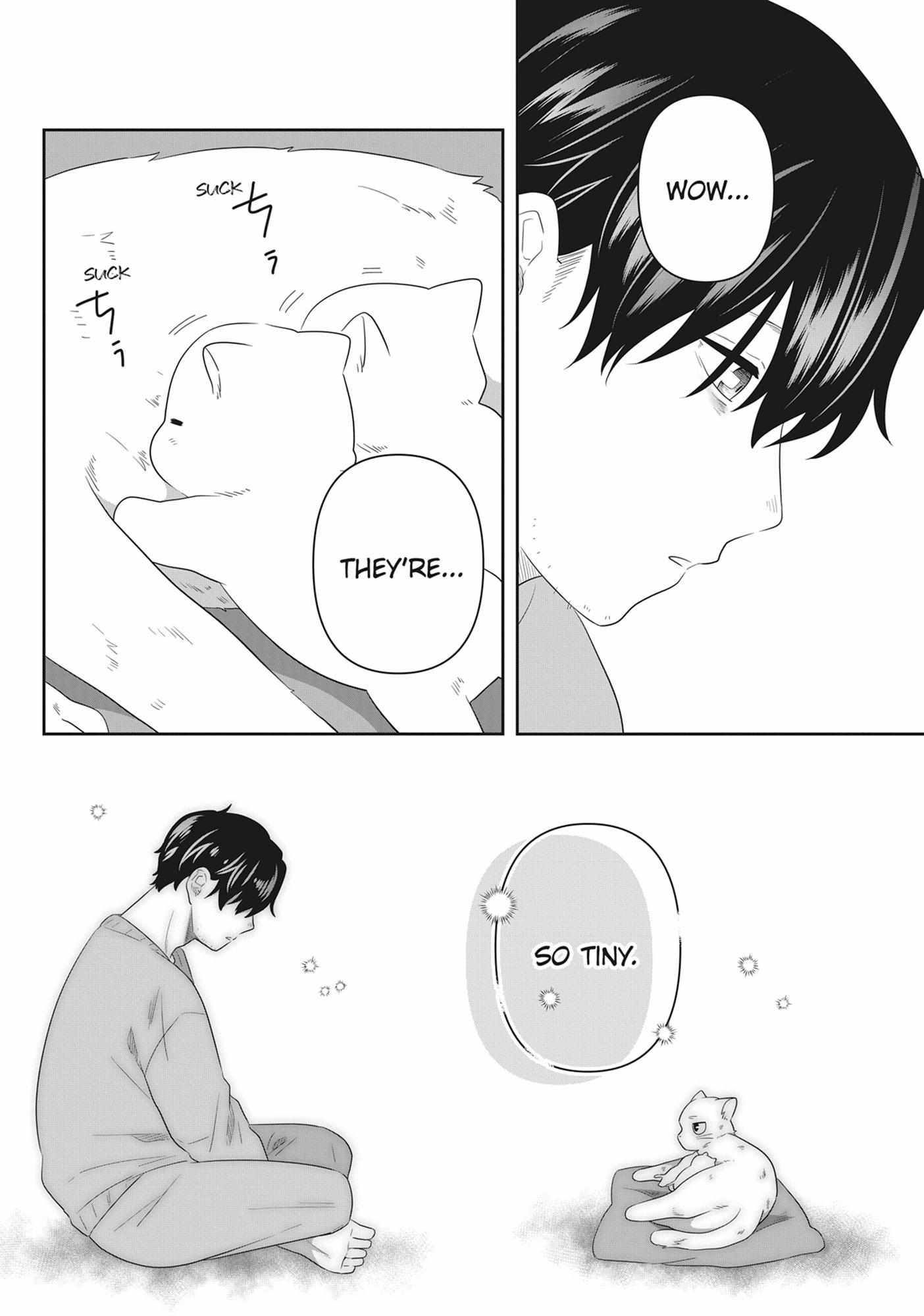 Read My Kitten is a Picky Eater chapter 59 image 6 on Lezhin