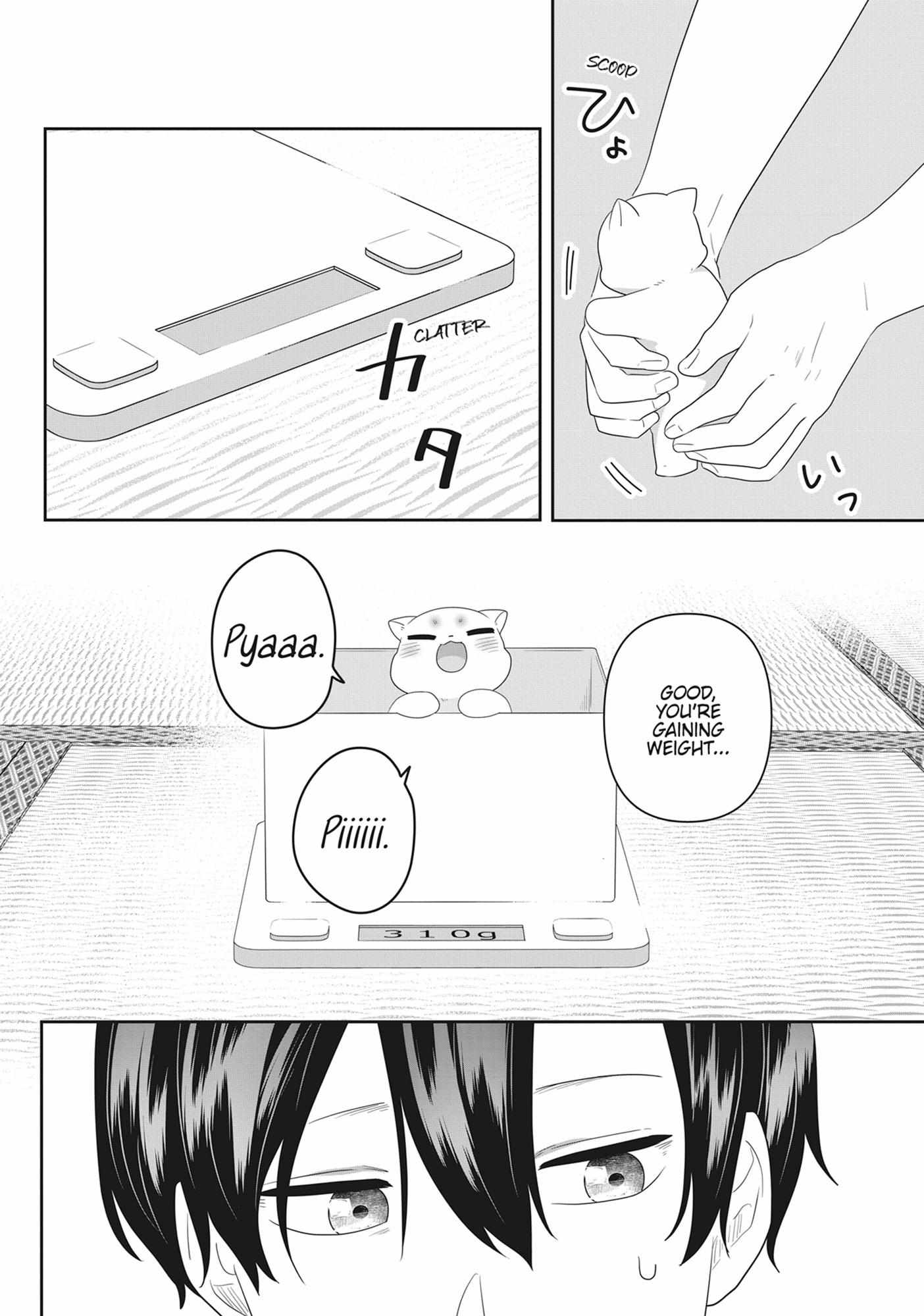 Read My Kitten is a Picky Eater chapter 61 image 1 on Lezhin