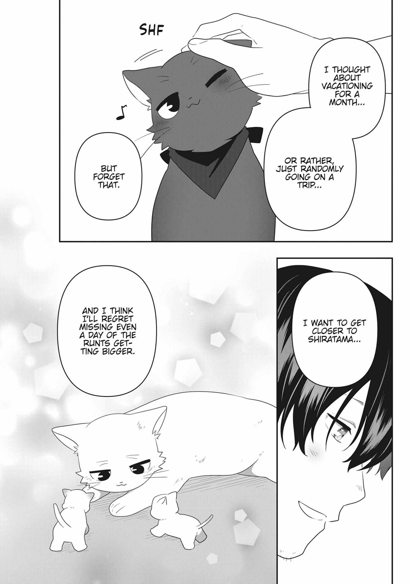 Read My Kitten is a Picky Eater chapter 61 image 10 on Lezhin