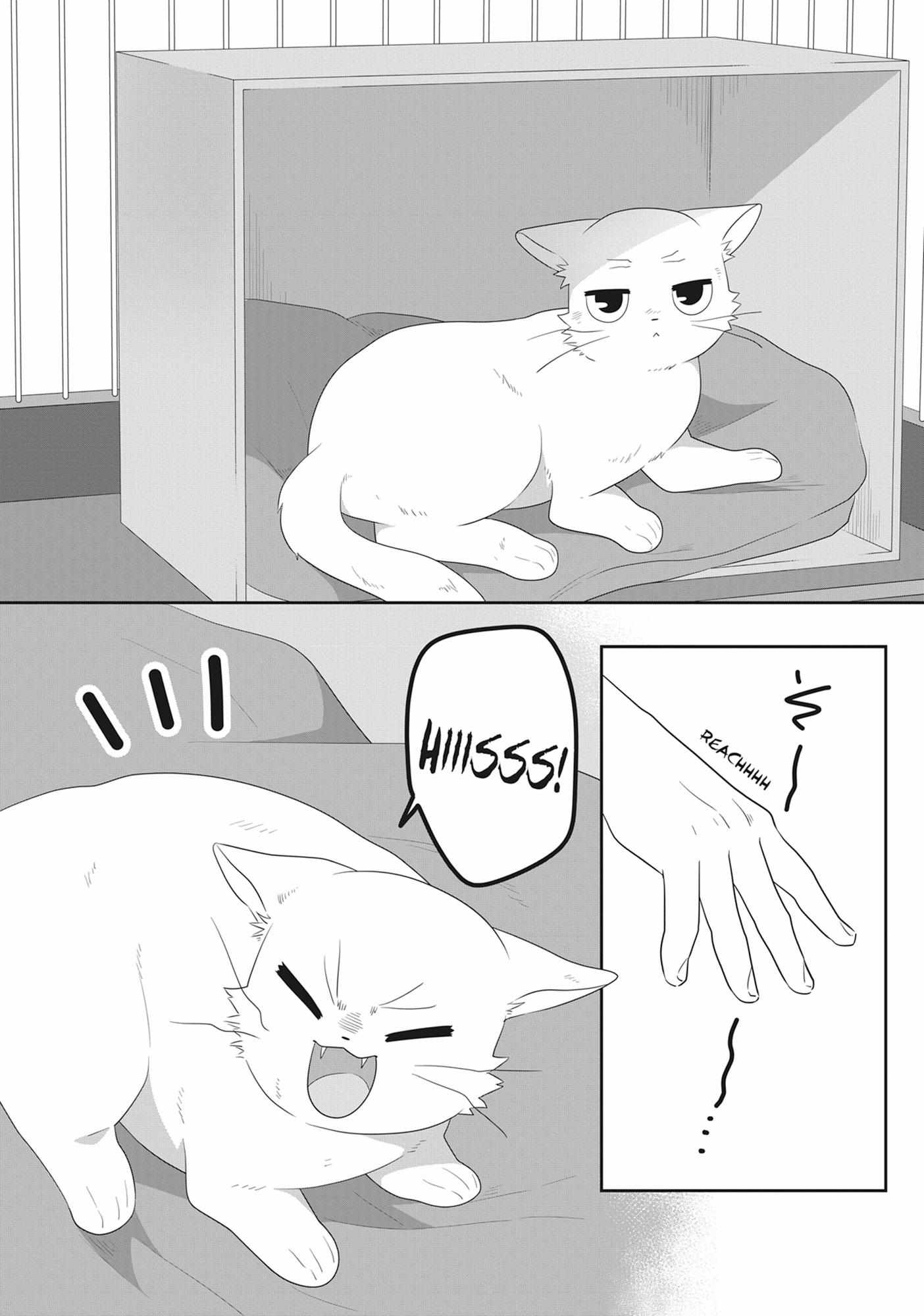 Read My Kitten is a Picky Eater chapter 61 image 2 on Lezhin